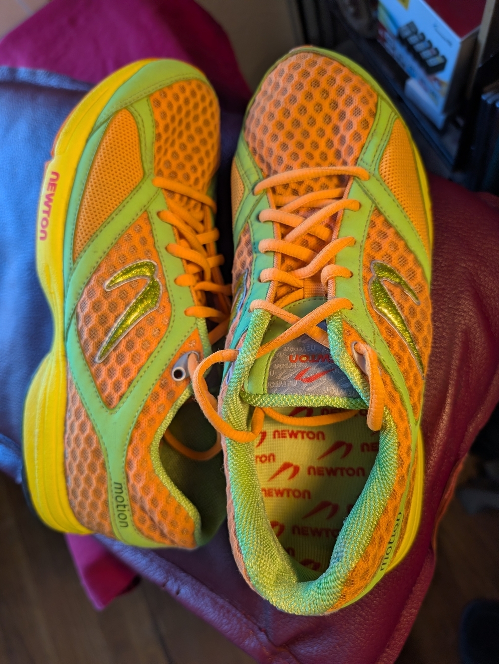 Newton Orange and Lime Green Mesh Lace-Up Sneakers